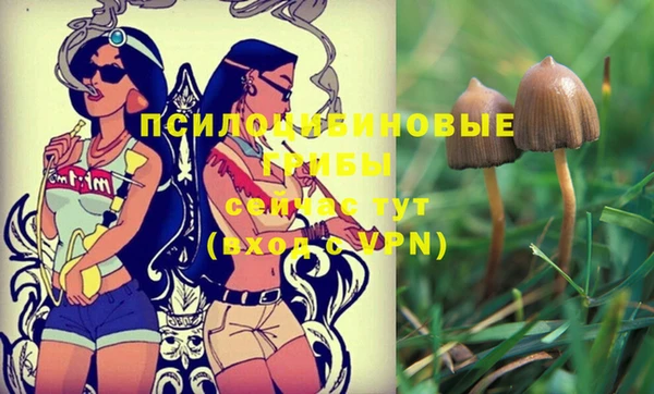 тгк Нефтекумск