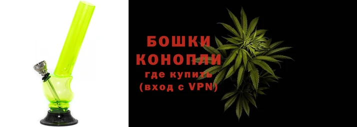 стаф Нефтегорск