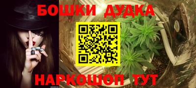 крисы Аргун