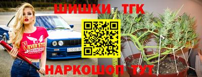 крисы Аргун