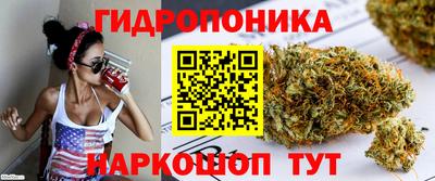 крисы Аргун