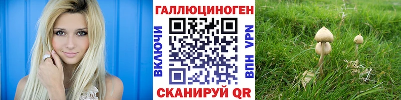 Галлюциногенные грибы Psilocybine cubensis  продажа наркотиков  Астрахань 