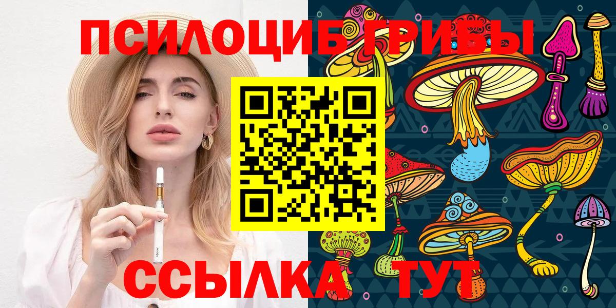 Псилоцибиновые грибы Psilocybe  Астрахань  Галлюциногенные грибы Psilocybine cubensis 
