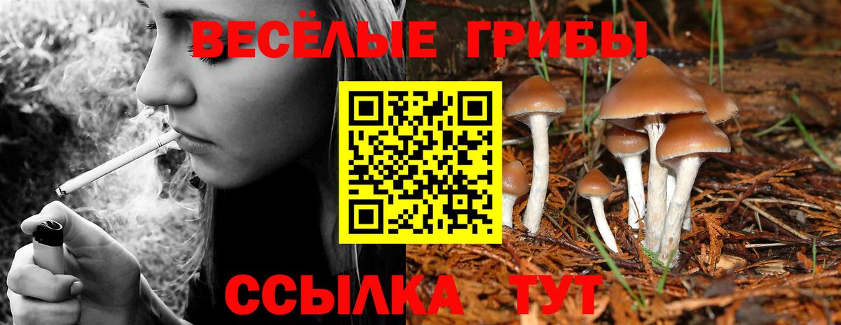 купить наркотики сайты  Вход с VPN  Астрахань  Псилоцибиновые грибы Cubensis 