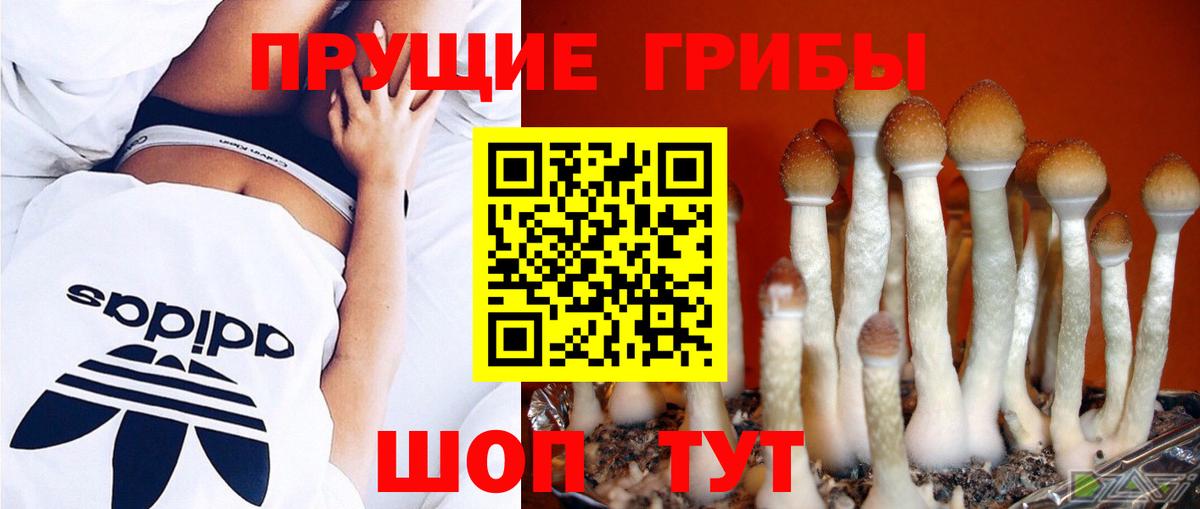 Псилоцибиновые грибы MAGIC MUSHROOMS Астрахань