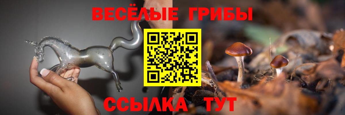 Галлюциногенные грибы MAGIC MUSHROOMS Астрахань